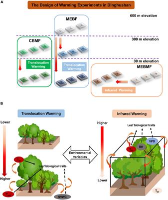 Direct and Indirect Effects of Long-Term Field Warming Methods on the Physical Environment and Biological Responses in a Subtropical Forest